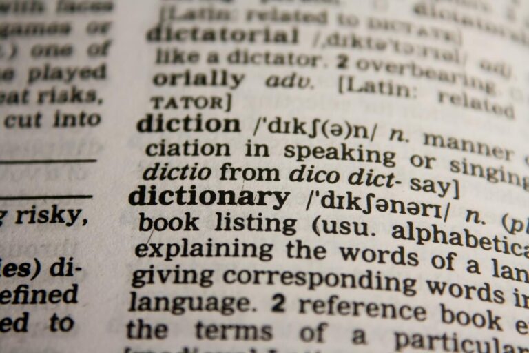 Symbolbild Übersetzungsfehler bei Tattoos: Das englische Wort "Dictionary" im Übersetzer